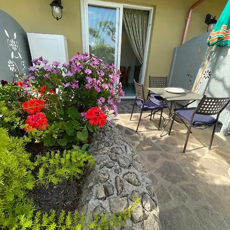 Villa Anna Sorgeto Forio  Exterior photo