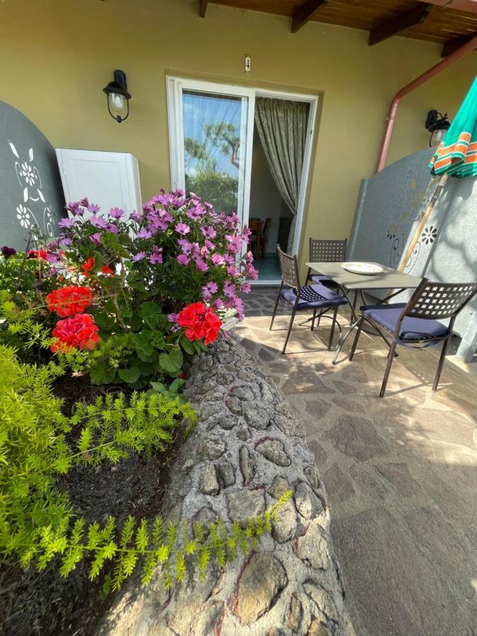 Anna Sorgeto Apartment